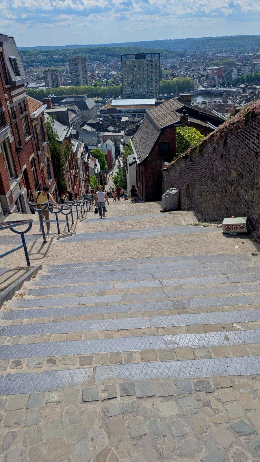 1e7b0d72-ff9a-4a92-bd85-d4d230bbfcc3