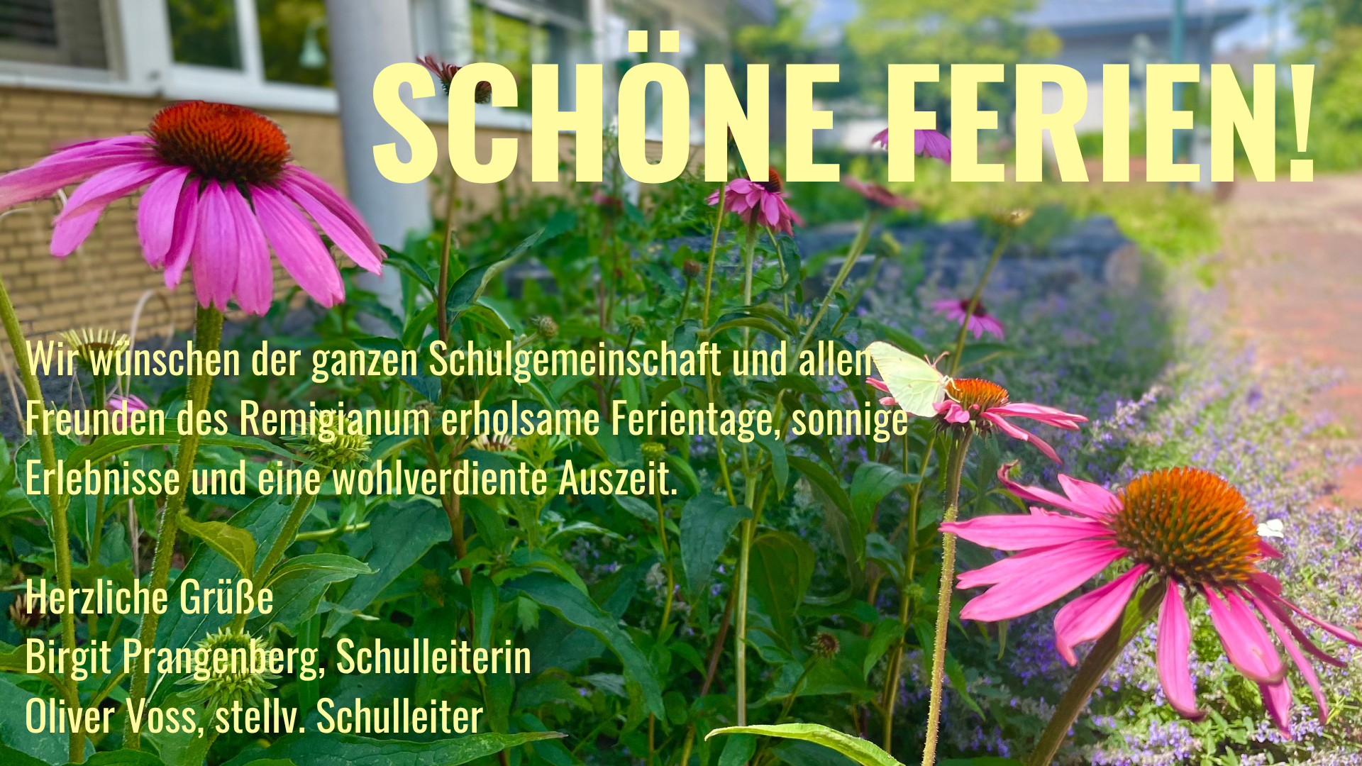 Remi schöne Ferien HP