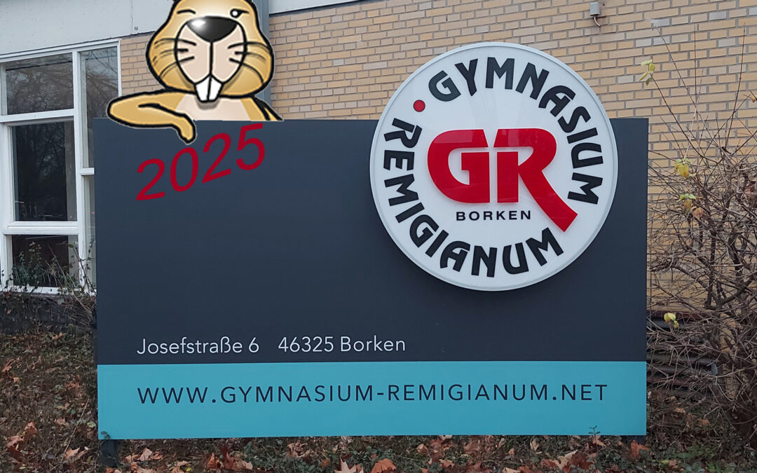 Teilnahmerekord beim Informatik-Biber 2025: Remigianum bundesweit ganz vorne